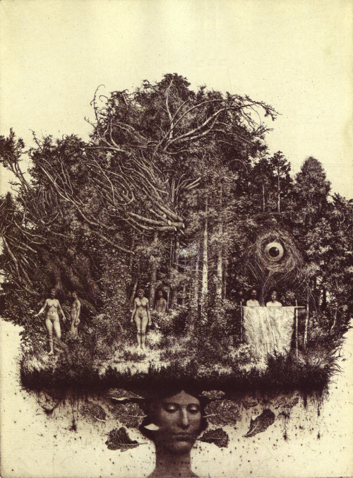 fer1972:Engravings by Albín Brunovský