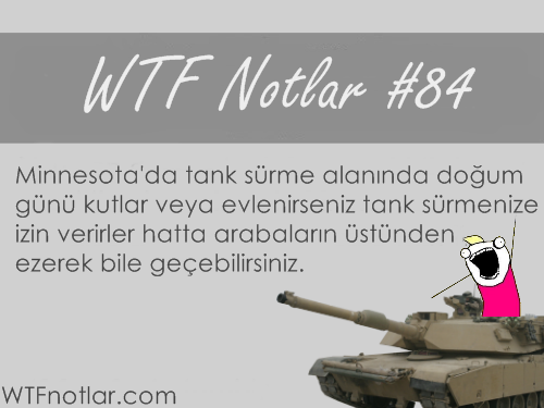 doğum günü on Tumblr