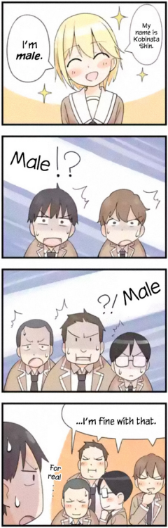 anime–irl:anime_irl