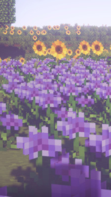Featured image of post Minecraft Flower Field Background Find download free graphic resources for flower fields