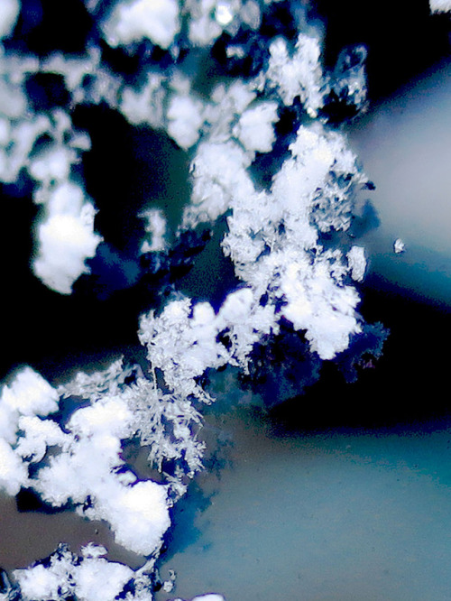 Incomplete snow crystals at a near-freezing air temperatue of...