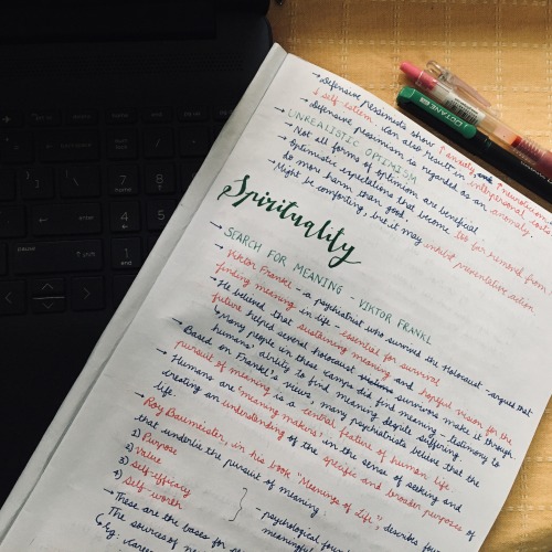 studying-pixie