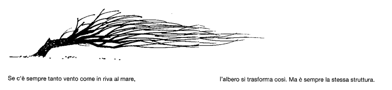 Disegnare Un Albero Lessons Tes Teach