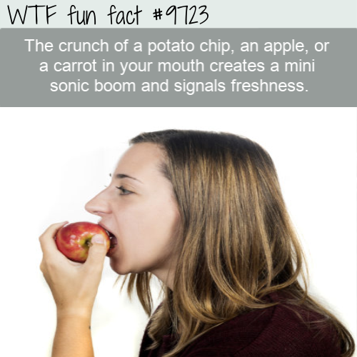 Interesting food fact: The crunch of a potato chip, an apple, or a carrot in your mouth creates a mini sonic boom and signals freshness.