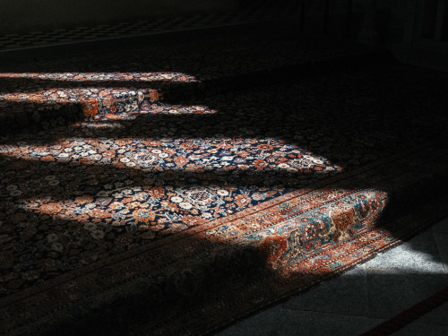 billieraephoto:Light fall in Fitzalan Chapel, Arundel Castle...