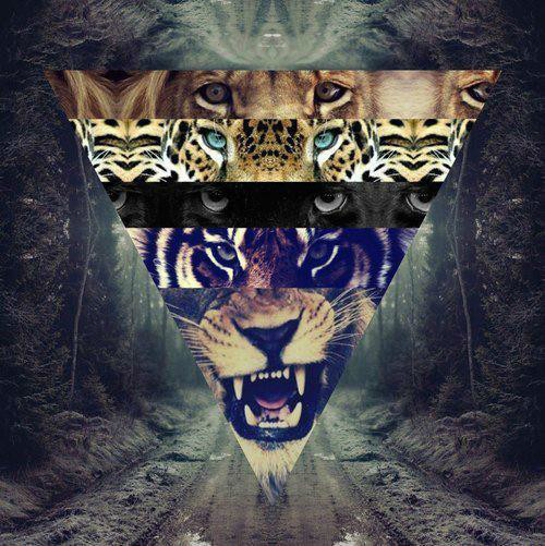 cool hipster clothes illuminati hipster girl beautiful clothes hipster style original t-shirt t-shirt illuminati tigersito
