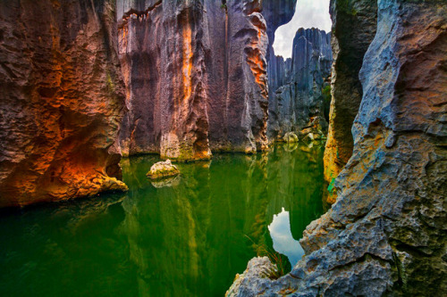 milamai:The Stone Forest - “One of Earth’s Natural Wonders”....