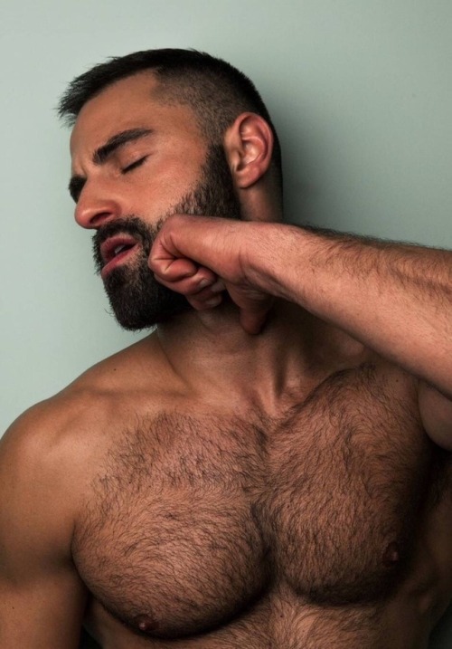 hairy chest - sexy muscle - mature men