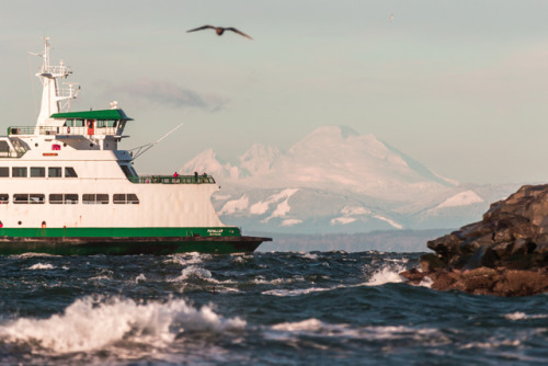 bsharp321:Windy and cold day in Edmonds.