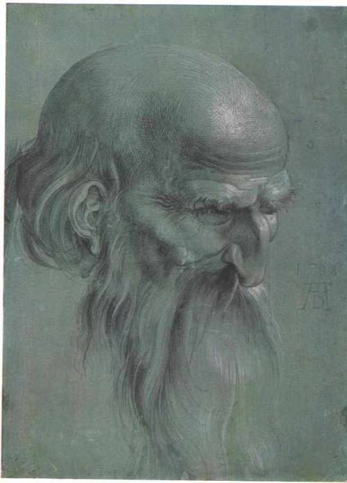 Head of a apostle, Albrecht Durer