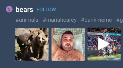 bears what an exciting goddamn day finally 2018 delivers