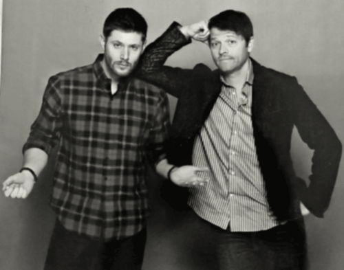Misha And Jensen Gay Porn - jensen/misha | Tumblr