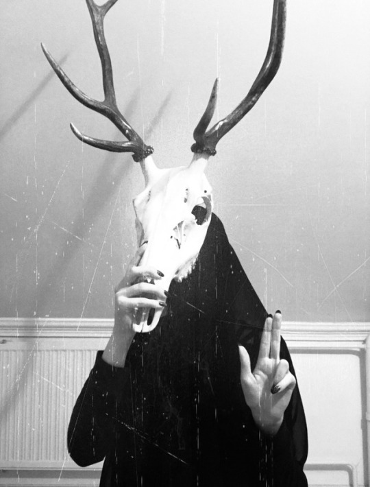 satan deer | Tumblr