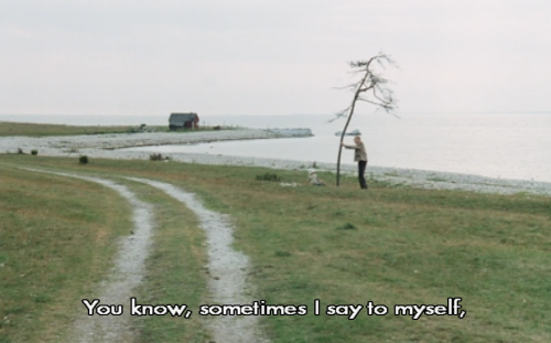 exhaustedscreen:The Sacrifice (Andrei Tarkovsky, 1986).