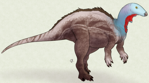 A Dinosaur A Day · Camptosaurus dispar