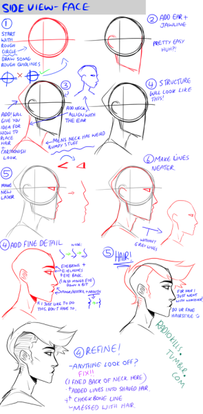 40+ Best Collections Side Profile Drawing Step By Step - Karon C. Shade