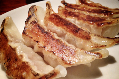 キャットストリート CAT STREET - BEST PAN-FRIED GYOZAS / photo: L Phay