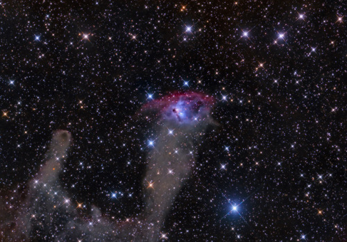 spinningblueball:NGC-1788 - Fox Face Nebula