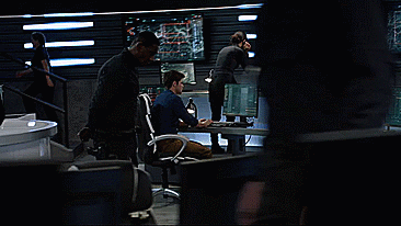 bonniebirddoesgifs