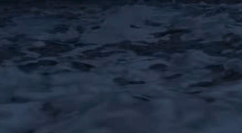 https://66.media.tumblr.com/a8845fd6d1d0764933aa1e30494029b2/tumblr_ptl5igu0UK1shyusgo6_r1_500.gif