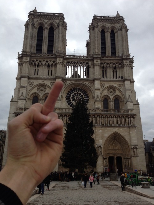 Notre Dame.Paris,France.January 2014