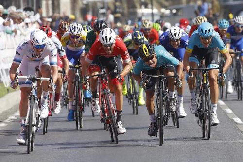 apisonadora60:Tour of Oman stage 6 - Alexander Kristoff - UAE...