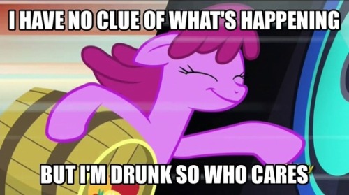 @Mlp Everything