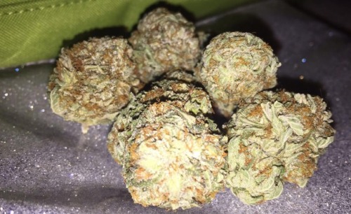 weed drugs high highsociety weed clouds weed nation weed blog smoke weed stoner stoner girls stoners 420 420 blaze it 420lifestyle 420girls 420friendly best buds dank buds buds cannabis pot pothead