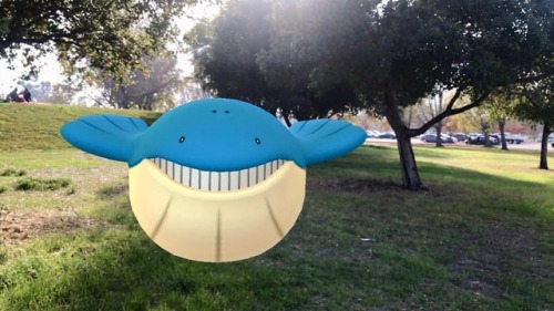 #pokemongo #wailmer #sunnyvale (at Baylands Park)