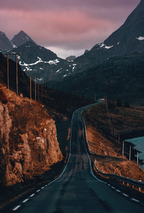dennybitte:
“island road
Lofoten / Norway
by Denny Bitte
”