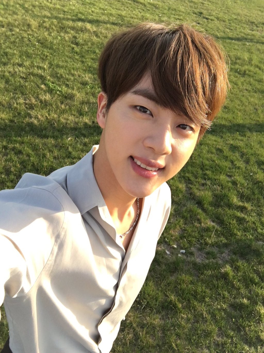 seokjin x brown hair - saltysugabts