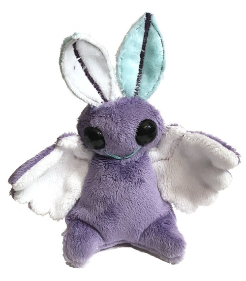 shuuflyplush:Happy Moth Week! I finally edited some photos. :’...