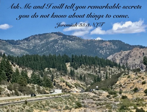 itsyourchoicedevotionals
