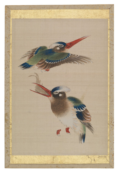 heaveninawildflower:Pictures of birds from an album of silk...