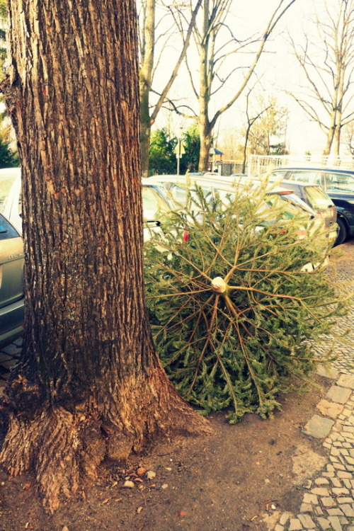 sadxmastree