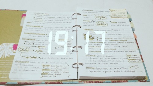 getstudyblr: 19 . 03 . 2016 // chemistry and biology,...