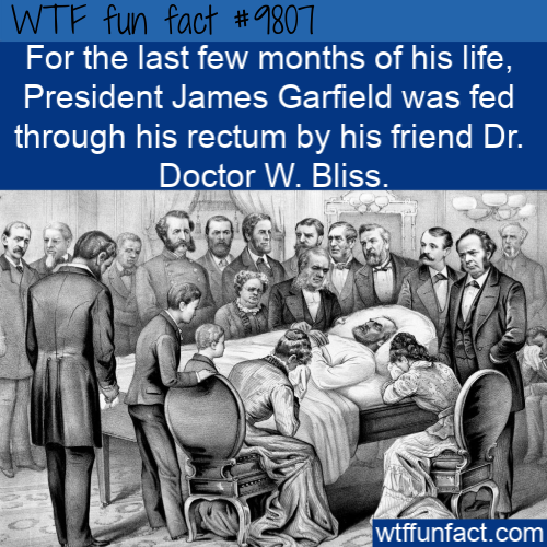 Did you know? For the last few months of his life, President James Garfield was fed through his rectum by his friend Dr. Doctor W. Bliss.