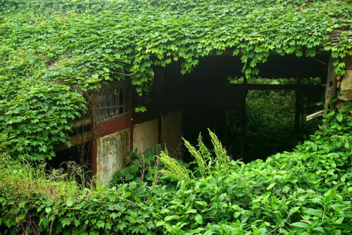 archatlas:Abandoned Chinese Fishing Village Being Swallowed...