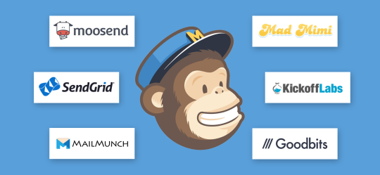 mailchimp verify email