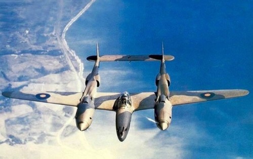 Warbirds