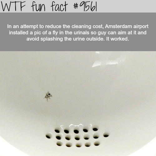 wtf-fun-factss:How Amsterdam Airport is reducing the cleaning...