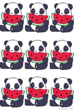 Panda Wallpaper Tumblr