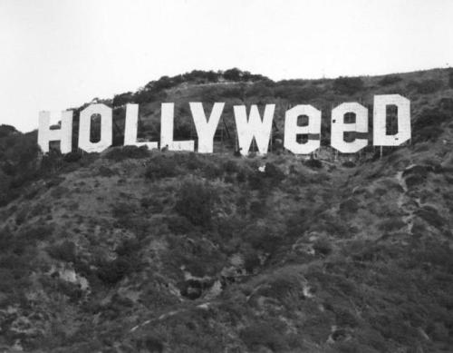 In honor of 4/20: the iconic Hollywood sign altered by Cal State Northridge student Danny Finegood as part of an art project (he got an A), January 1, 1976 [599x785] Check this blog!