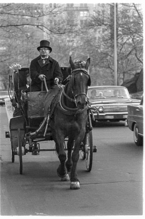 Ph: AAlberts• Horse and Carriage • Central Park • Film •*...