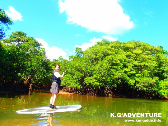西表ツアーおすすめ人気のSUPでマングローブを漕いでジャングル探検トレッキングで秘境の滝巡り、午後からキャニオニングで秘境の滝を目指します。大自然のエナジーを体感しよう。石垣島から日帰り参加もOK！です。