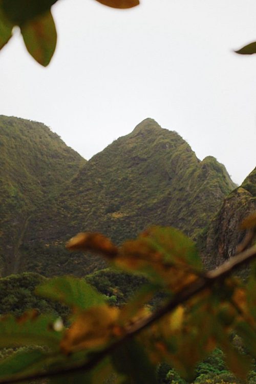 trembeling:Iao Valley, Maui