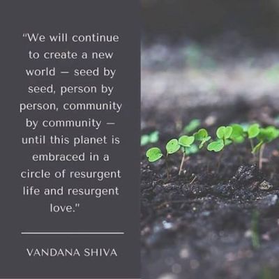 Vandana Shiva Tumblr