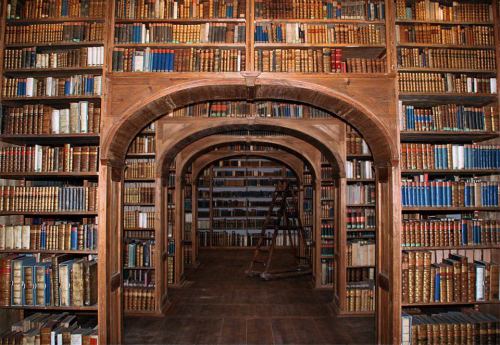 500px x 345px - library porn | Tumblr