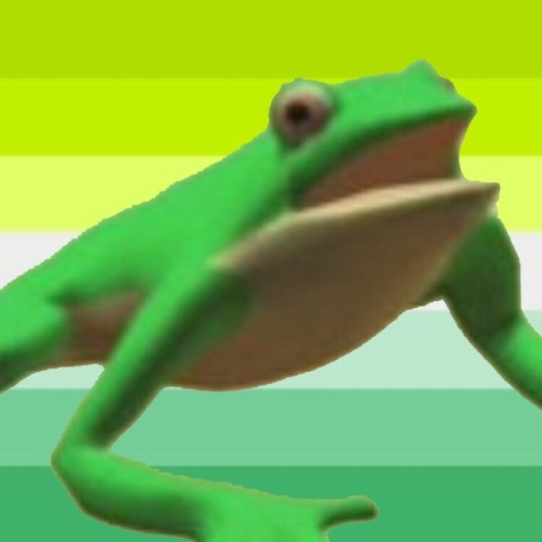 takamakiann:fixationcore:[ frog flags by @smallmetal...