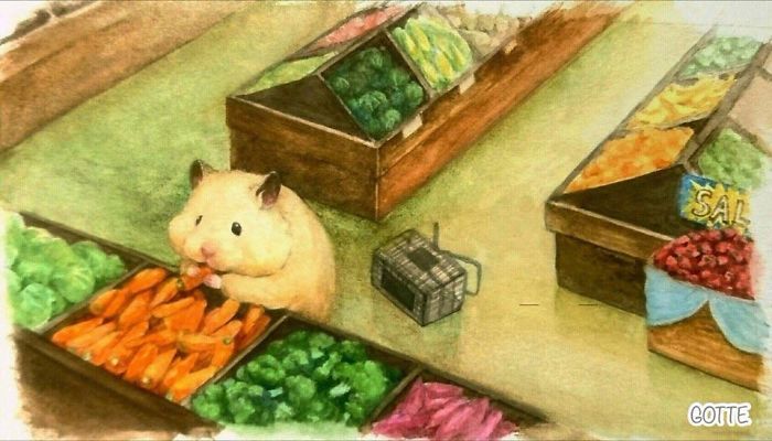 Bite First, Ask Later — defnabeom: ♡ Hamster's life by ...